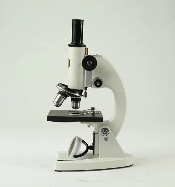 扫描近场光学显微镜