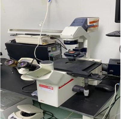 倒置研究型显微镜