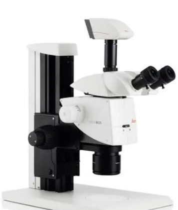 3D显微镜STEREODISCOVERY